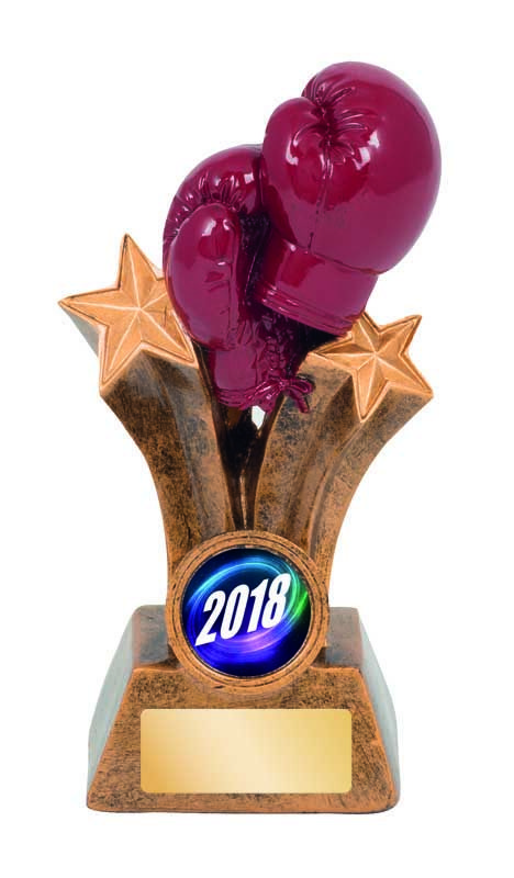 Boxing/Kickboxing Awards