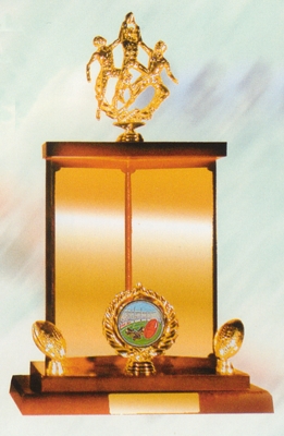 Perpetual Trophies